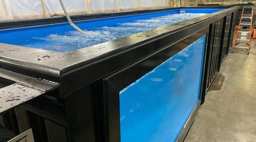 40 Ft Container Pool image 5