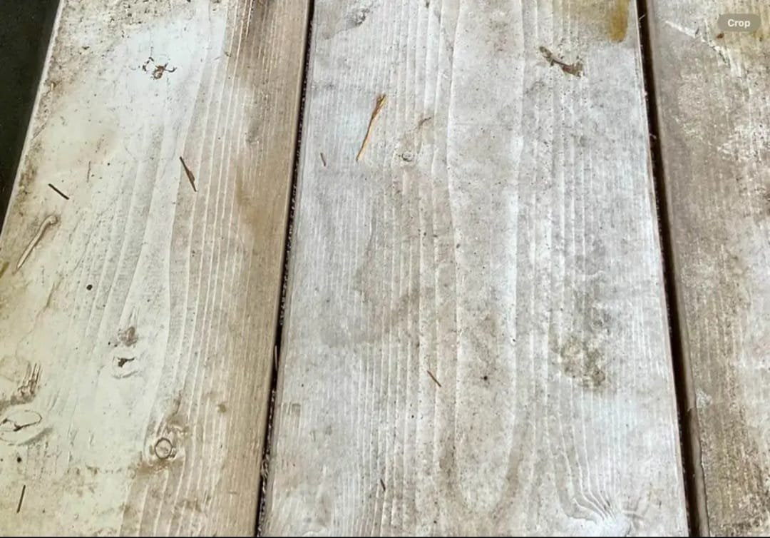 2007 Circle J 2 Horse Trailer Slant Load image 15