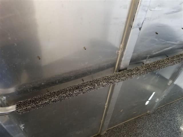 2001 4 Star 2 Horse Bumper Pull Slant Load image 15