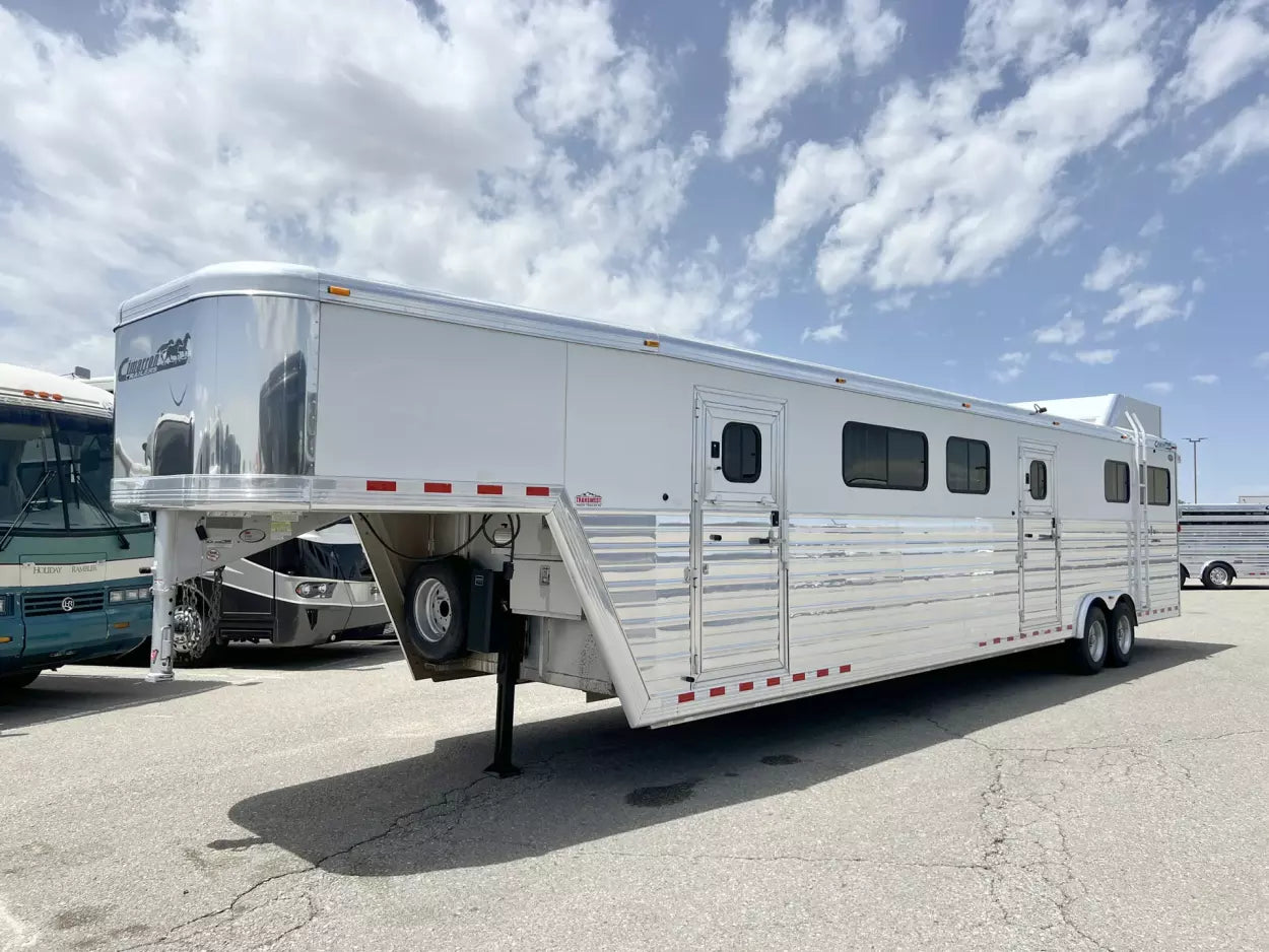 2009 Cimarron Norstar 6H Head to Head image 21