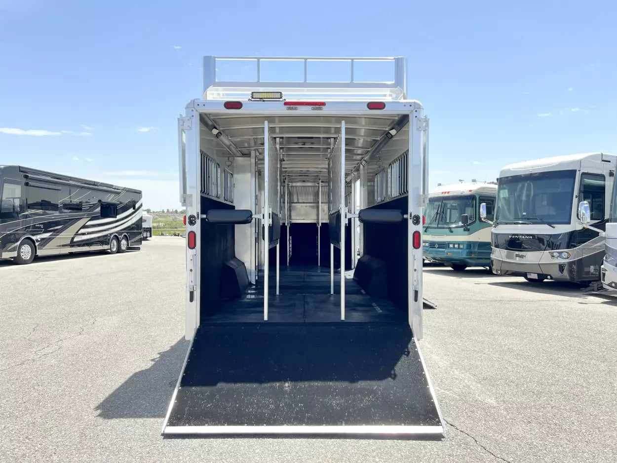 2009 Cimarron Norstar 6H Head to Head image 11